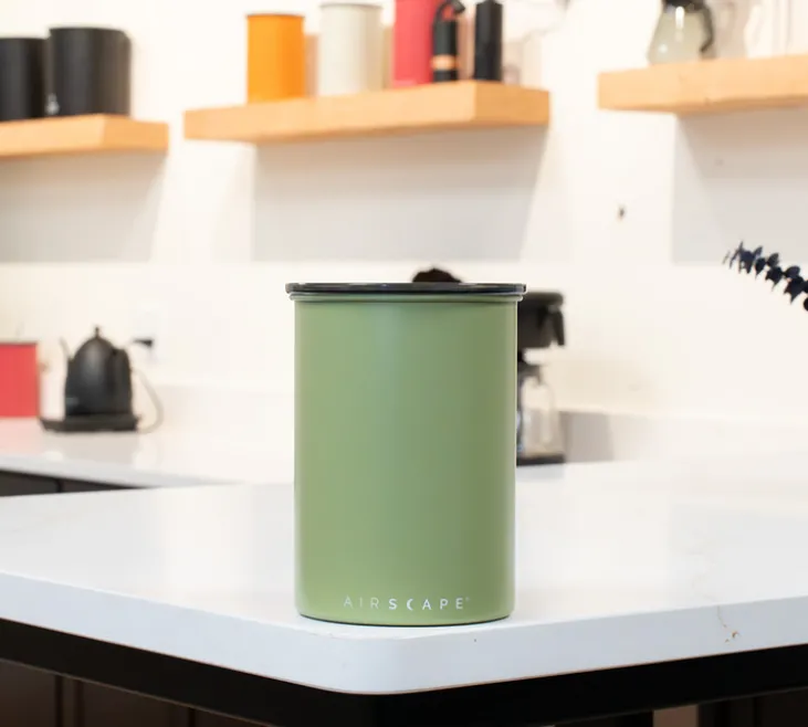 Boîte conservatrice avec vide d'air 500 - Lichen - AIRSCAPE