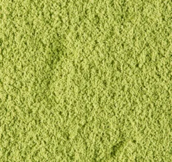 Boîte Thé Matcha Uji du Japon - Vrac 20g - DAMMANN FRÈRES