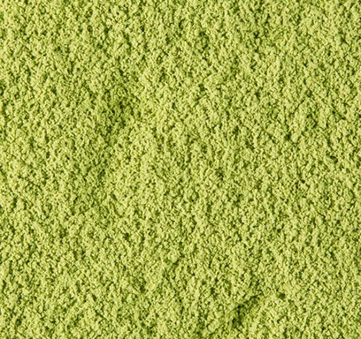 Boîte Thé Matcha Uji du Japon - Vrac 20g - DAMMANN FRÈRES