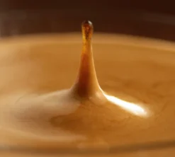 54 Boules de café Coffee B Classico Espresso Illy -Café Royal