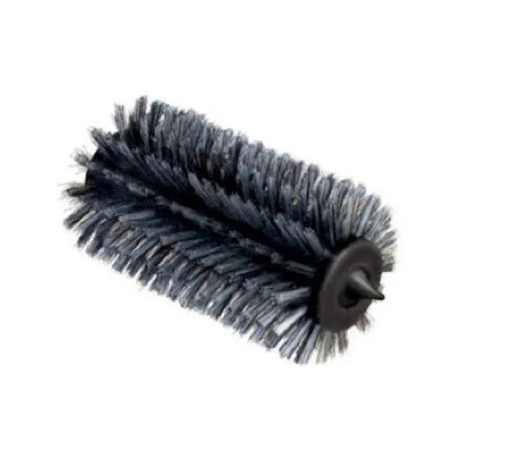Brosse de remplacement pour Pallo Rollster
