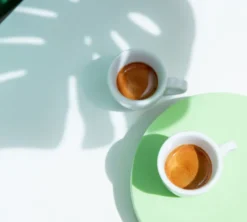 50 capsules compatibles Nespresso* Original Pack découverte Cafés éthiques