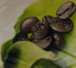 18 Capsules Iperespresso Arabica Selection Ethiopie - Illy