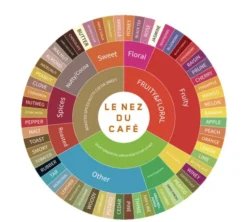 Coffret Le Nez du Café - 60 arômes - EDITIONS JEAN LENOIR