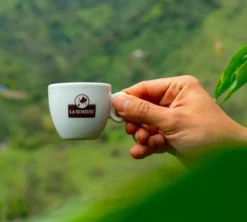 40 Dosettes ESE Dona Juana Guatemala Bio Fairtrade - LA SEMEUSE