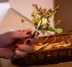 Fleurs de Thé à Infuser Fleurs des Montagnes Bio - 2 bouquets (10 tasses) - HORAE