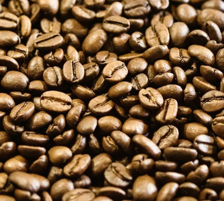 800 g - Café en grain - Costa Rica Bio - LAGRANGE