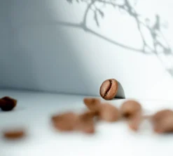 250 g - Café en grain - Costa Rica Rio Jorco - LUGAT