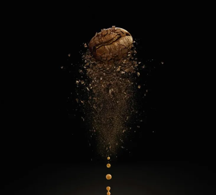 500 g - Café en grain - Honduras Bio - CARTE NOIRE