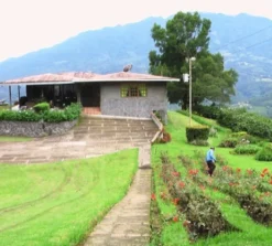 250 g - Café en grain - La Esperanza Bio - LUGAT