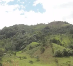 250 g - Café en grain - La Esperanza Bio - LUGAT