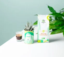 250 g - Café en grain - Le Mélange Savanah Bio - GREEN LION COFFEE