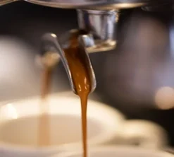 250 g - Café en grain - Melting cup Bio - CAFÉ MOKXA