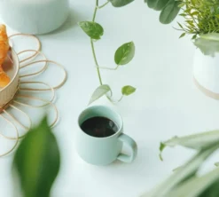 250 g - Café en grain - Moka Baraka Bio - GREEN LION COFFEE