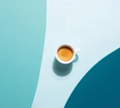 250 g - Café en grain - Oasis Blend - Médaillé Meilleur Produit Bio - LUGAT