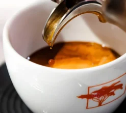 250 g - Café en grain - Water Decaf Bio - LE PIANTAGIONI DEL CAFFÈ