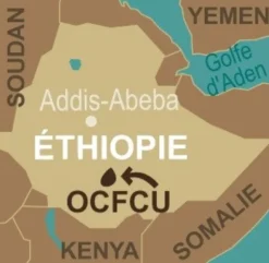 250 g - Café moulu - Ethiopie Décaféiné Bio - TERRA ETICA