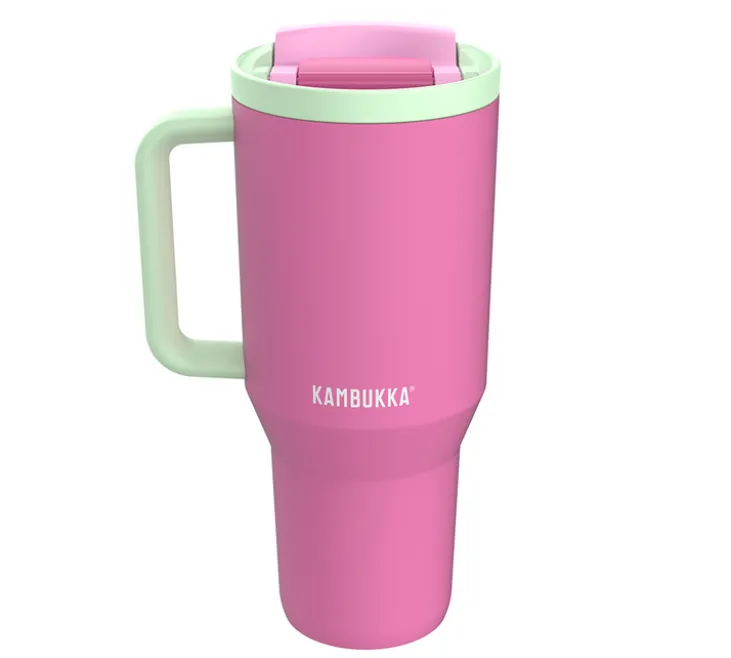 Gourde isotherme avec paille Rio Bubblegum Mint - 95 cl - KAMBUKKA