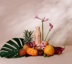 Gourde isotherme icon Moani abricot - 50 cl - QWETCH