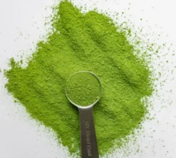 Green latte barista Bio - Sachet 100 g - LA MAIN NOIRE