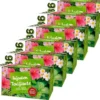 Infusion Tonifiante - 6 x 25 sachets - 1336 (SCOP TI)
