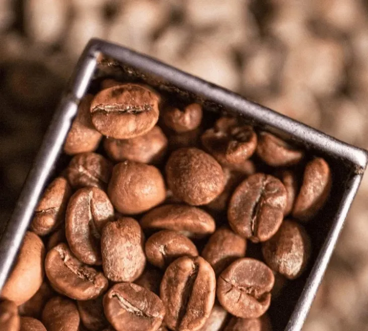1 Kg - Café en grain - Blend Signature - BRÛLERIE CARON