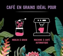 1 kg - Café en grain - Congusta Secret de nature - CARTE NOIRE