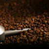 1 kg - Café en grain - Cremador - PASSALACQUA