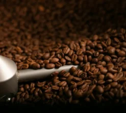 1 kg - Café en grain - Cremador - PASSALACQUA
