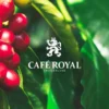 1 kg - Café en grain - Espresso Forte Professional Line - CAFÉ ROYAL