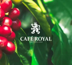 1 kg - Café en grain - Espresso Forte Professional Line - CAFÉ ROYAL