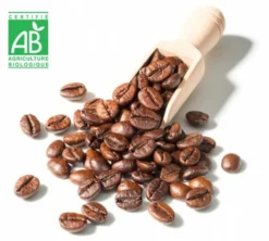 1 kg - Café en grain - Expresso Pur Arabica Bio - DESTINATION