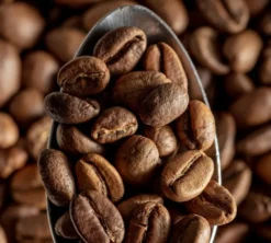 1 kg - Café en grain - Le Mélange Savanah Bio - GREEN LION COFFEE