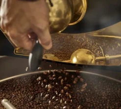 1 kg - Café en grain - Vibrant - L'OR