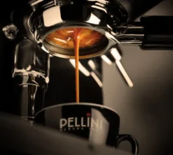 1 kg - Café en grain - Vivace Intenso - PELLINI