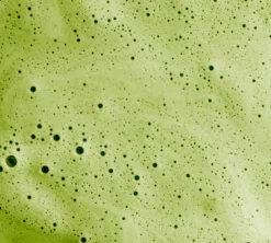 Latte instantané Matcha latte - Boîte 100 g - NÜMORNING