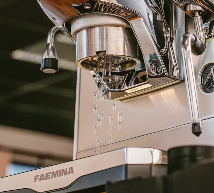 Machine expresso FAEMA Faemina aluminium poli et noir anodisé