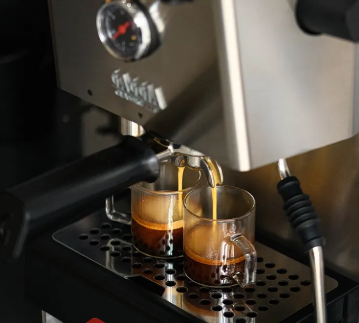 Machine Expresso GAGGIA Classic GT EG3500/10 inox brossé