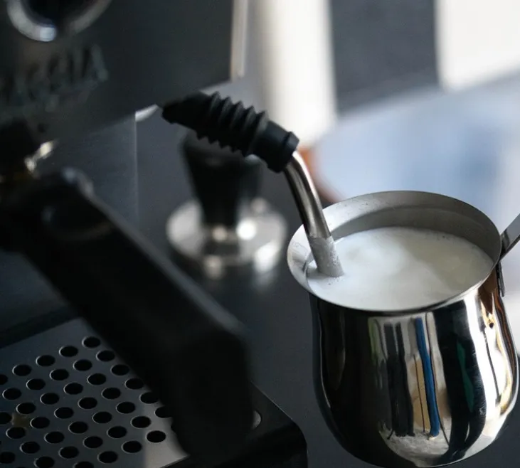 Machine Expresso GAGGIA Classic GT EG3500/10 inox brossé