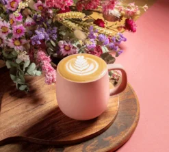 Mug Terra Brique 33 cl - PYLANO