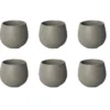 6 Nutty Tasting Cup 200ml couleur Granite - Loveramics