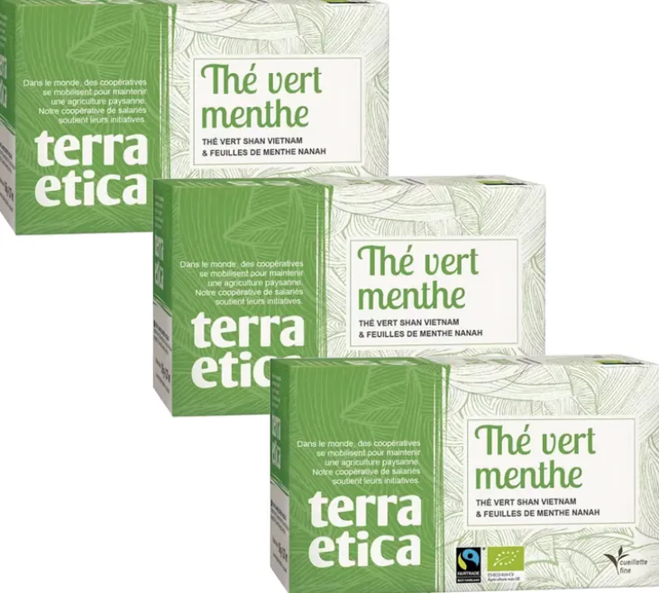 Pack Thé Vert Menthe Bio & Equitable - 3 x 20 sachets - TERRA ETICA