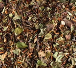 Rooibos Lucky Thyme - Vrac 100 g - DAMMANN FRÈRES