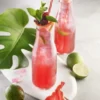 Sirop d'hibiscus 1883 Routin - Bouteille Plastique - 2 x 1 L