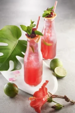 Sirop d'hibiscus 1883 Routin - Bouteille Plastique - 2 x 1 L