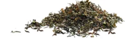 Thé Noir Breakfast Bio & Equitable - 20 sachets- Terra Etica