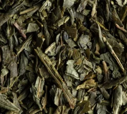 Thé Vert Arôme Naturel Menthe Bio - 24 sachets - DAMMANN FRÈRES