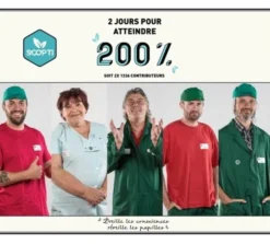 Thé Vert à la Menthe - 20 sachets - 1336 (Scop TI)