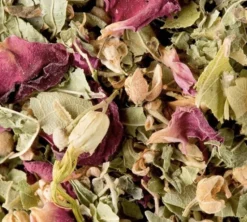 Tisane Bali n°426 - Vrac 100 g - DAMMANN FRÈRES