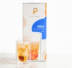 6 Verres double paroi Mila 35 cl - PYLANO